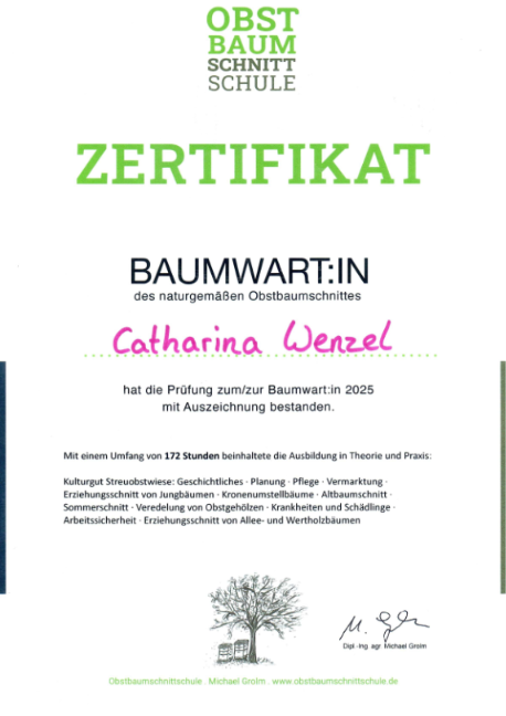 Baumwartin 25